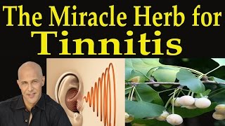 The Miracle Herb for Tinnitus  Dr Mandell [upl. by Dickerson]