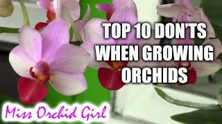 Top 10 DONTs when Growing Orchids  tips for orchid beginners [upl. by Adnamra]