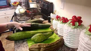 How to process a LUFFA GOURD From green gourd to clean sponge [upl. by Hareema]