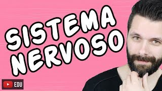 SISTEMA NERVOSO  FISIOLOGIA  Aula  Biologia com Samuel Cunha [upl. by Acirdna34]