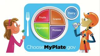 Food Groups amp MyPlate [upl. by Scrivens896]