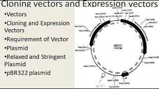 Difference between Cloning and Expression Vectors Part 1  For BSc and MScALL ABOUT BIOLOGY [upl. by Tirrell380]