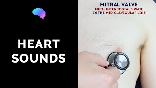 Heart murmur sounds cardiac auscultation sounds  UKMLA  CPSA  PLAB 2 [upl. by Johan]