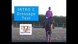 Learn The Intro 3 Dressage Test 2016 Intro C [upl. by Anasor680]