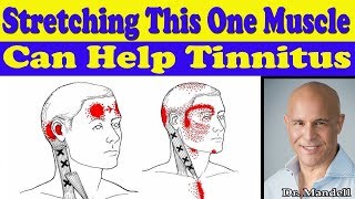 Stretching This One Neck Muscle Can Help Your Tinnitus  Dr Alan Mandell DC [upl. by Imelda42]