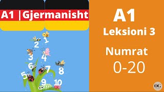 A1  Leksioni 3  Numrat 020  Zahlen 020  Meso Gjermanisht  O Gjerman [upl. by Wiersma]