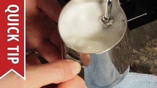 How to AutoFroth Milk for Lattes [upl. by Annaek]