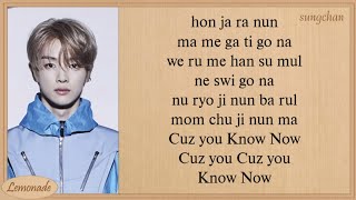 NCT U  Know Now Easy Lyrics [upl. by Ailugram85]