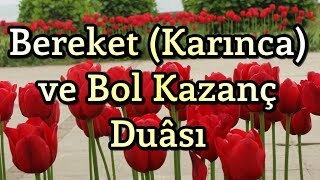 Bereket Duası  Karınca Duası  Bol Rızık Duası  Amin [upl. by Grosz26]