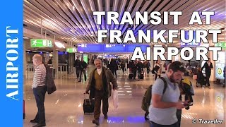 TRANSIT WALK AT FRANKFURT Airport FRA Terminal 1  Connection Flight Transfer Arriving amp Departing [upl. by Ellenid]