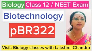 pBR322  Cloning Vector  Class 12 Biology  NEET Biology [upl. by Akiemat996]