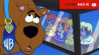 ScoobyDoo  The Hamster Incorporated  WB Kids [upl. by Noyad]