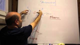 Chimie Organique  Stéréoisomères de conformation Newman [upl. by Orfinger]