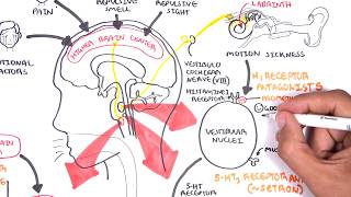 Pharmacology  Antiemetics [upl. by Attelrac]